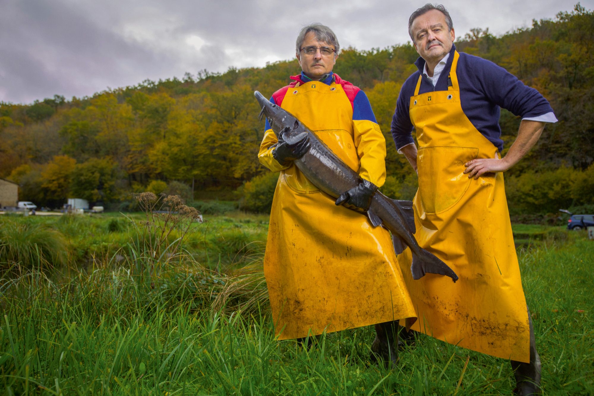 Caviar, sur la piste du poisson aux oeufs d'or