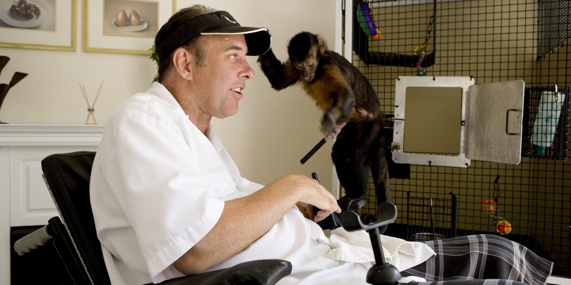 Quand l'homme dépend du singe - Minnie, capucin de service