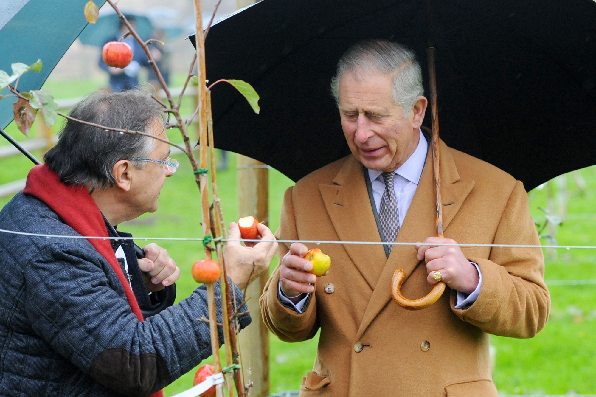 Photos – prince de Galles - Charles croque la pomme avec Raymond Blanc