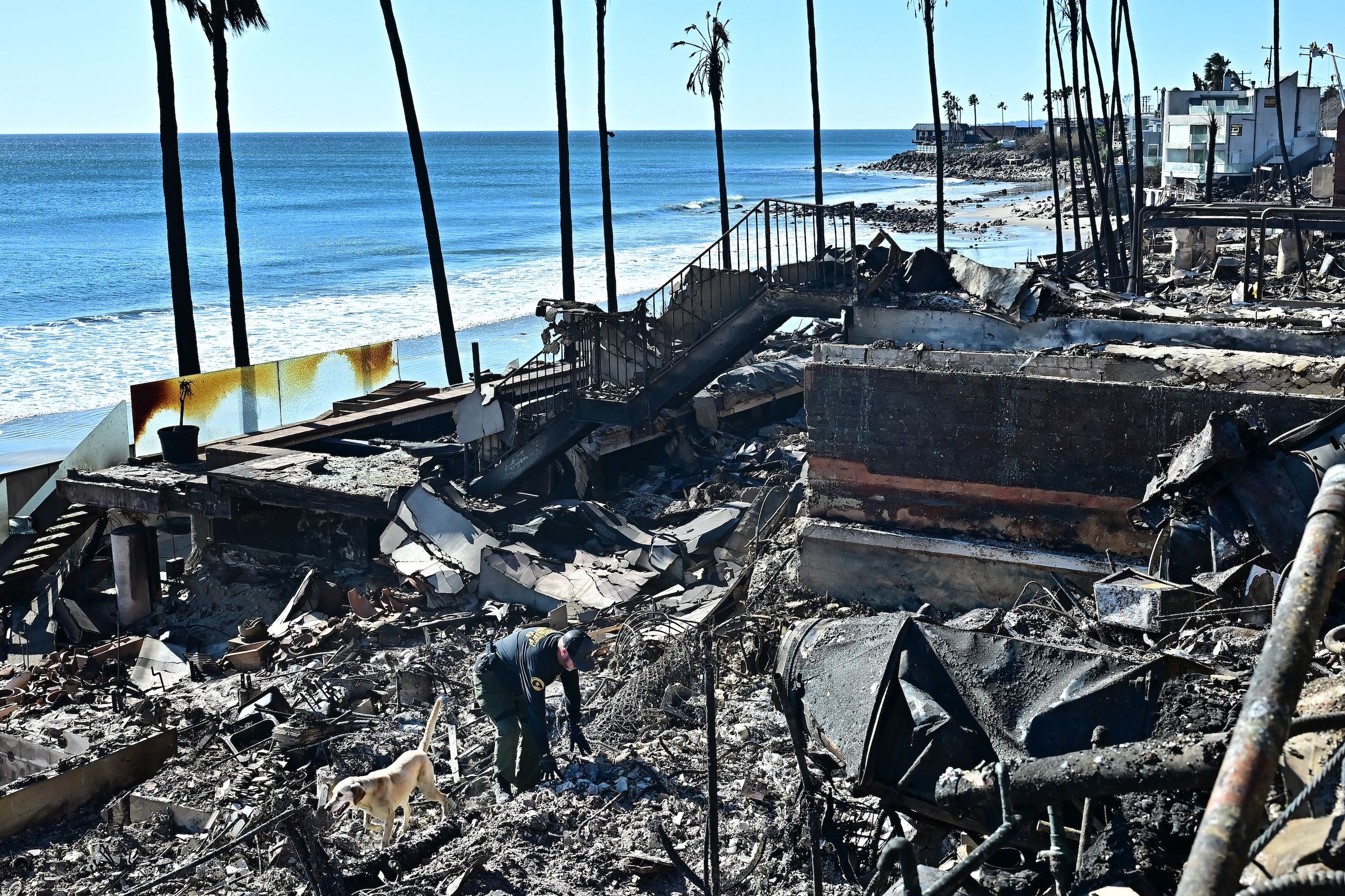Animaux secourus, scènes d’apocalypse… Les fausses vidéos des incendies ...