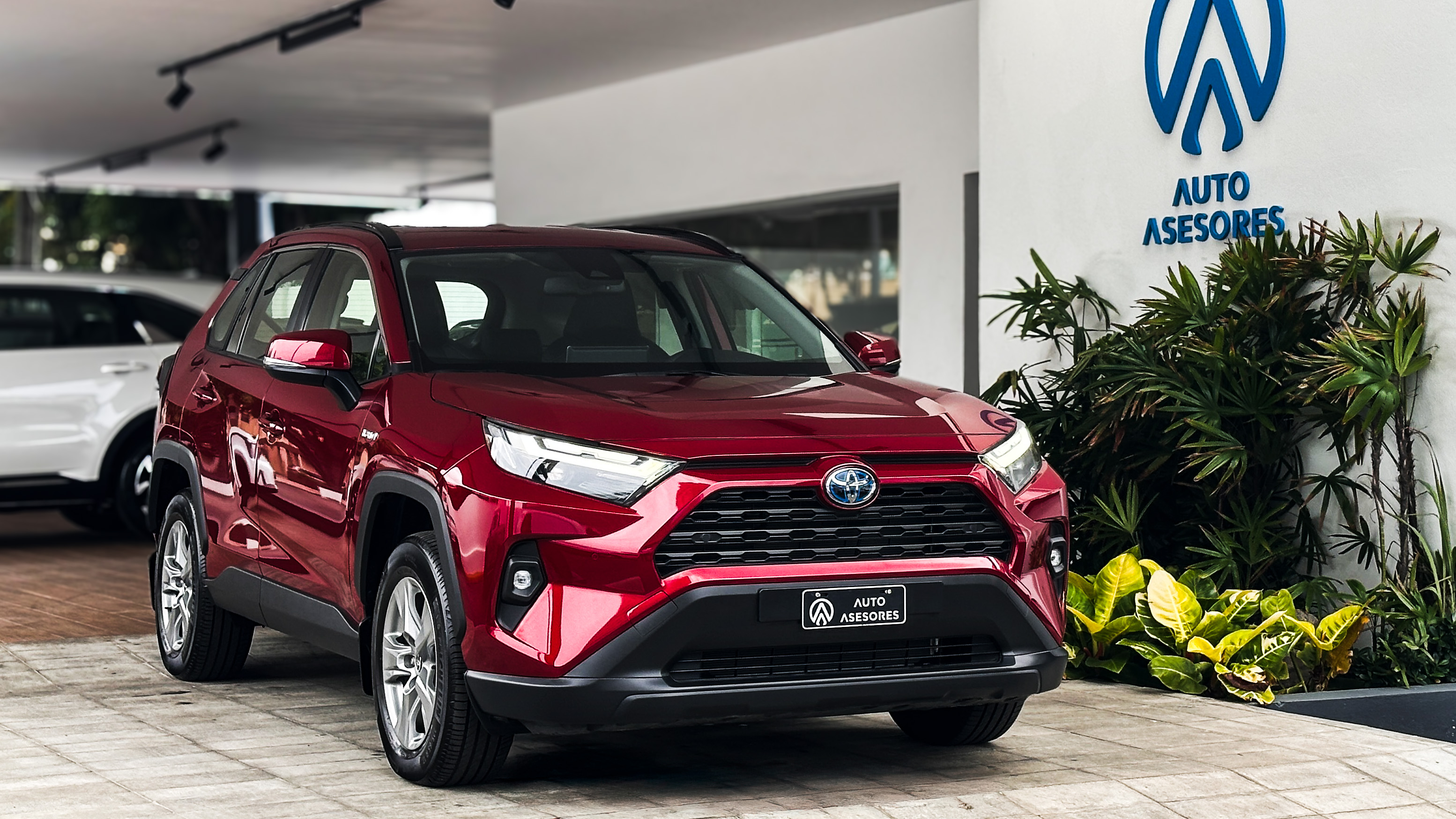 Rav4 Hybrid TSS