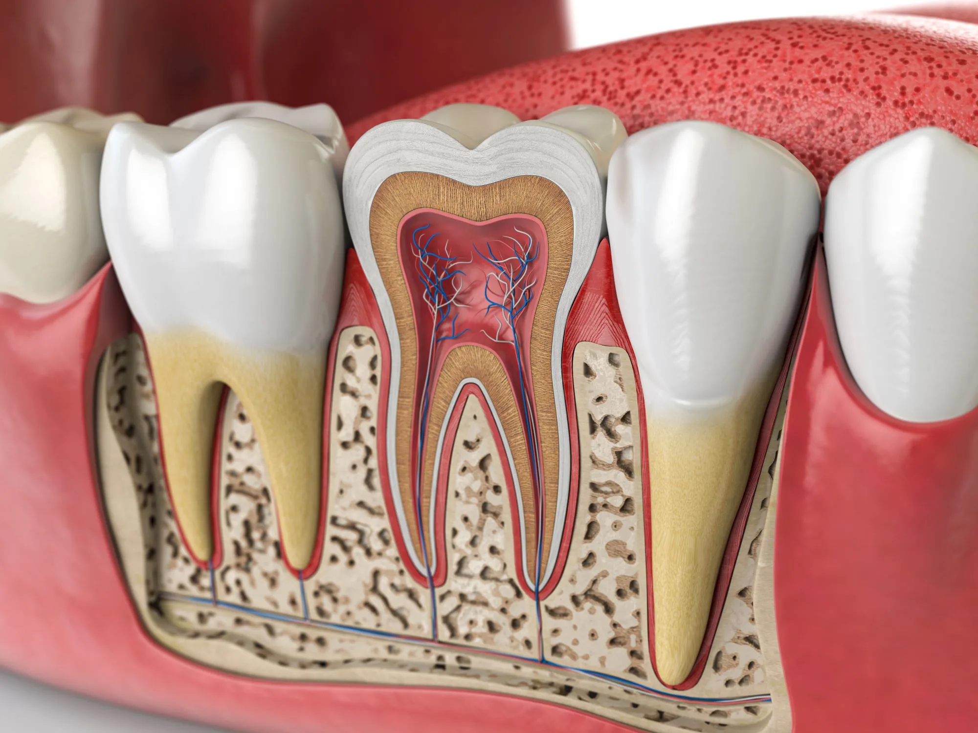 Pulpitis: Soorten, symptomen en behandeling