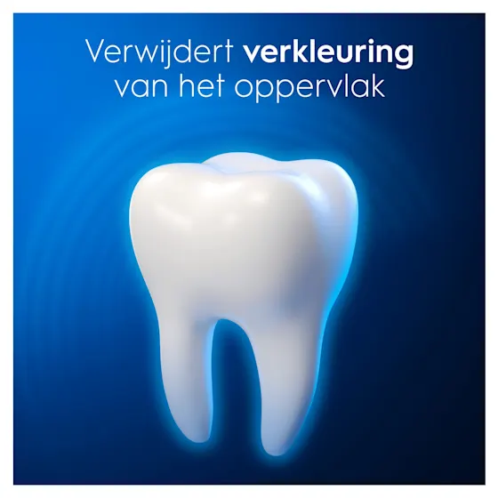Oral-B Pro 3DW Clinical Intensieve Whitening Tandpasta en 2 Witte Opzetborstels Bundel