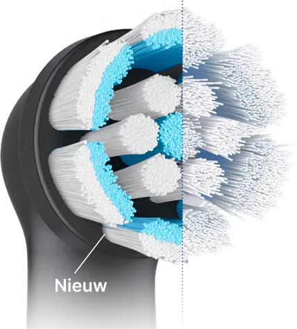 Gebruikte borstelharen zien er rafelig en uitgespreid uit. Gebruik een borstel met nieuwe borstelharen voor 100% reinigingskracht.