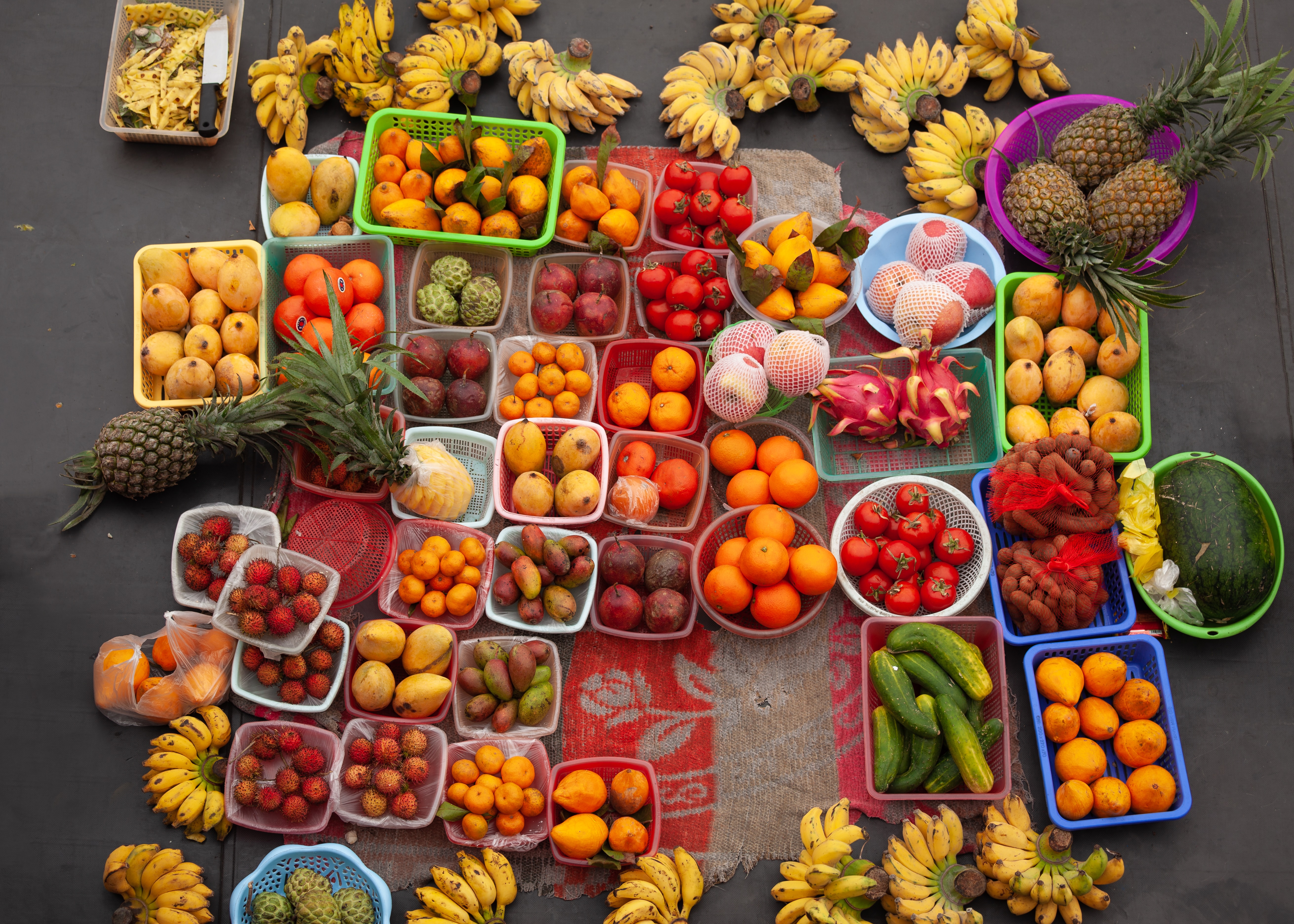 Diversity fruits longevity