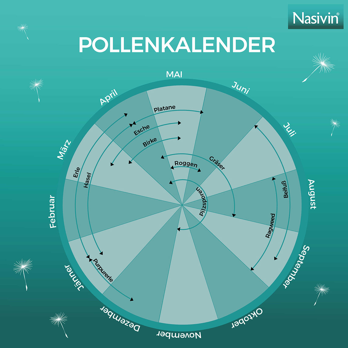 nasivin_pollenkalender_jahr.jpg