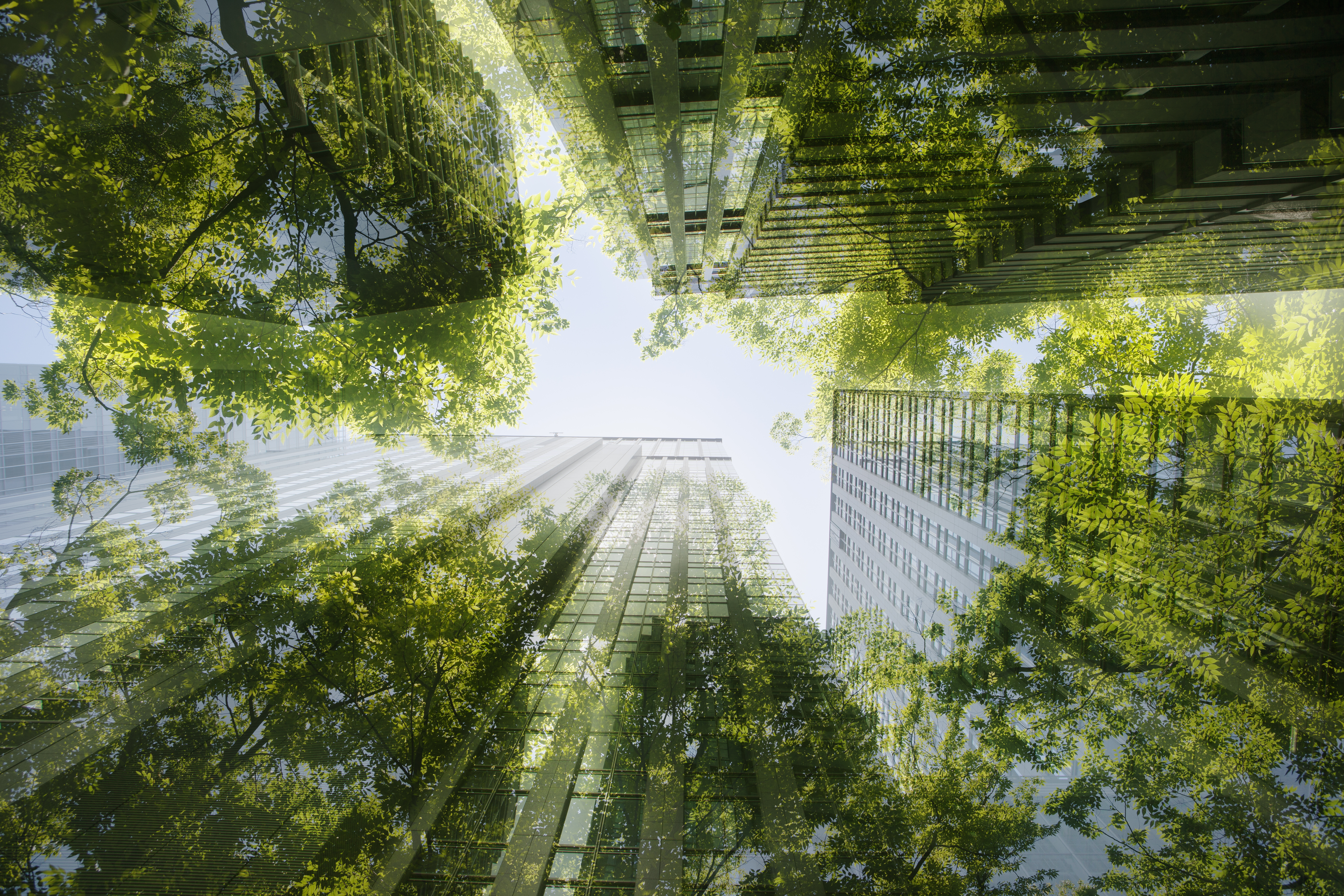Cityscape-mixed-with-green-plants