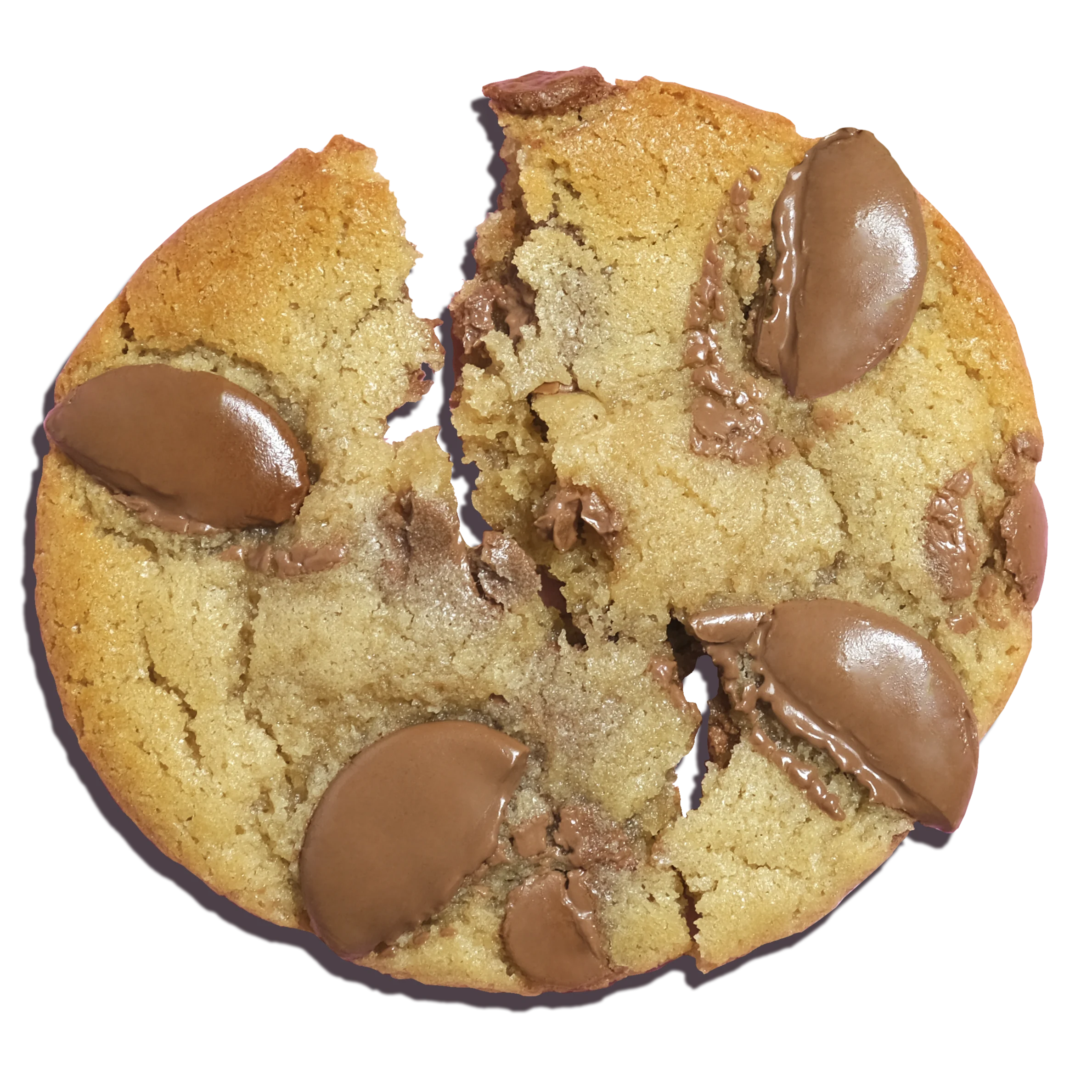 Chocolate Chunk cookie