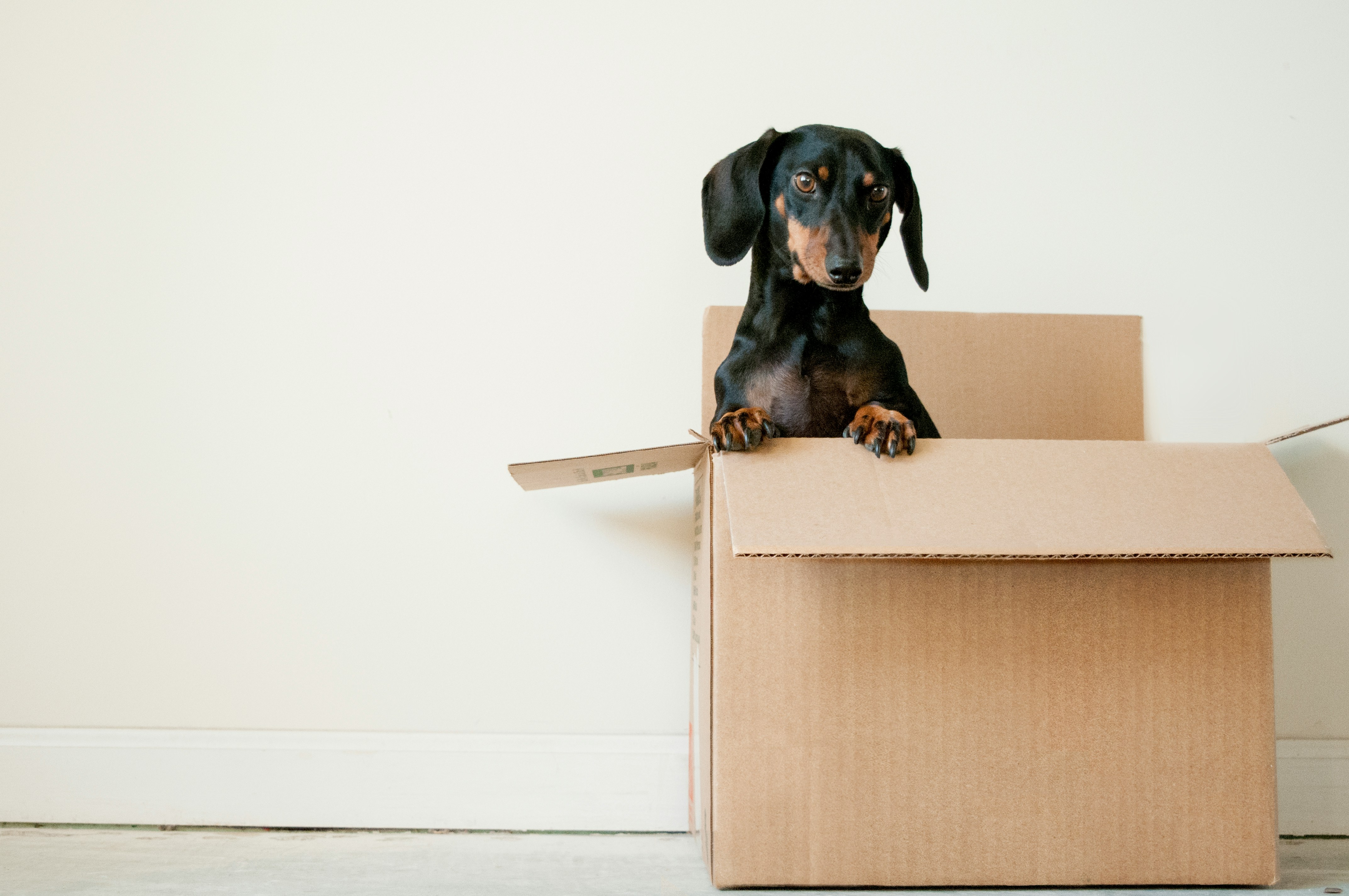 The Vendor's Guide to a Smooth Settlement