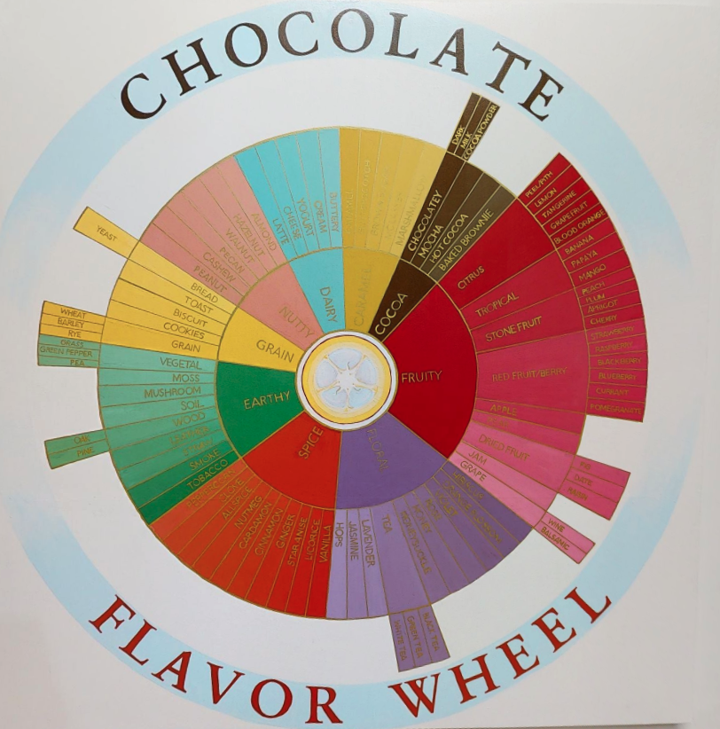 Choco flavor wheel
