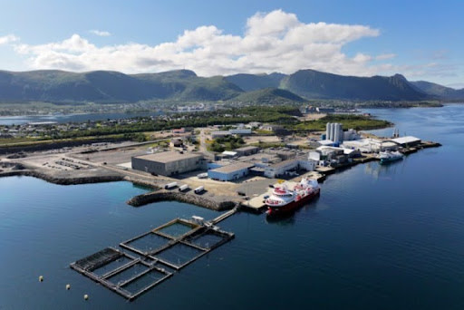 NTI Norway image 1