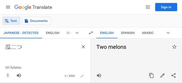 Image: Google Translate's translation for the Japanese idiom瓜二つ gives us the literal translation of 