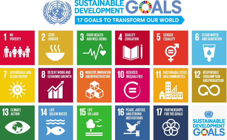 Image: United Nations blog, 17 sustainable development goals