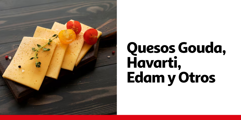 Quesos Gouda, Havarti, Edam y Otros
