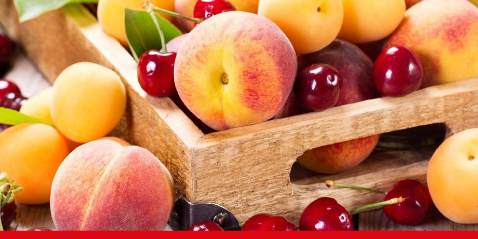 Frutas de temporada