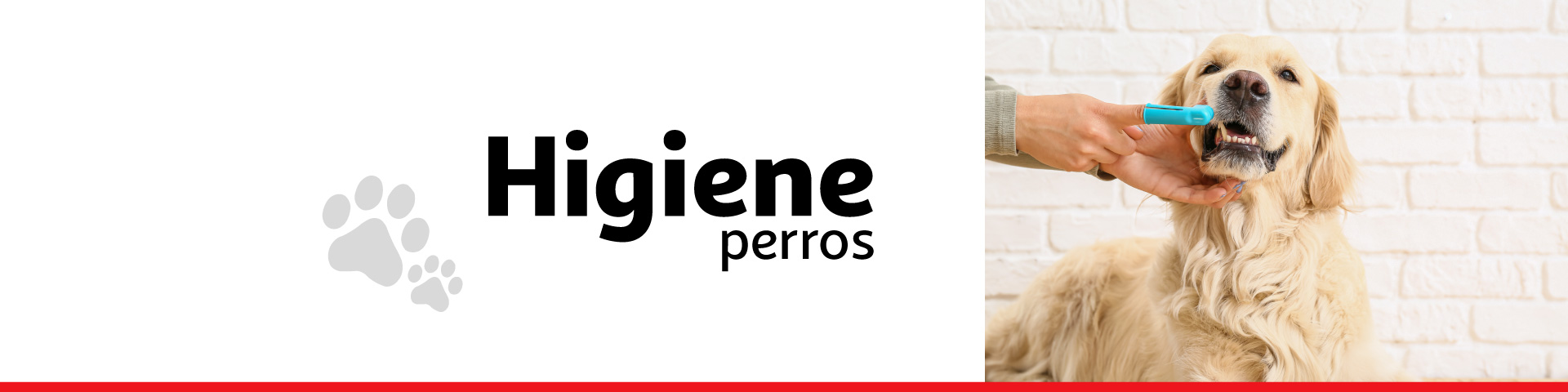 Higiene perro