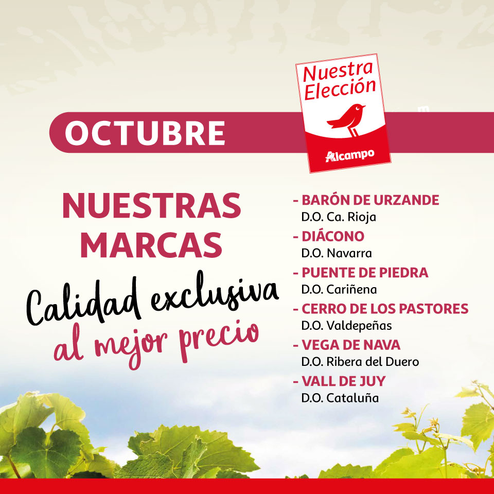 Nuestra selección -Vinos (Disfruta de tus denominaciones de origen favoritas) 