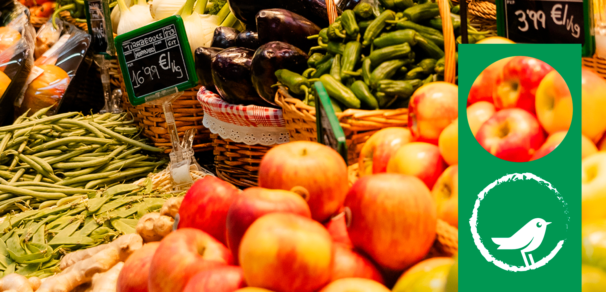 Recetas sin desperdicio