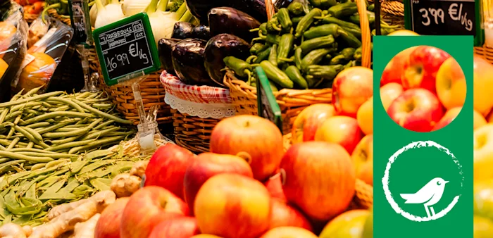 Desperdicio Alimentario