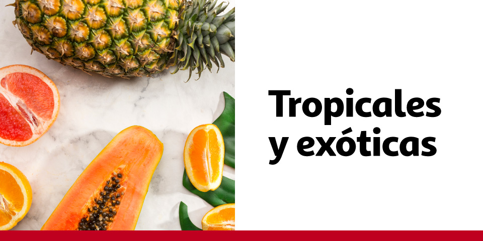 Tropicales y exóticas