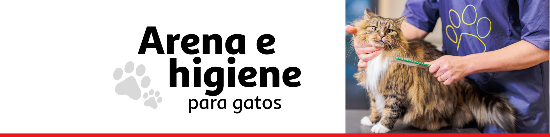 Higiene gato