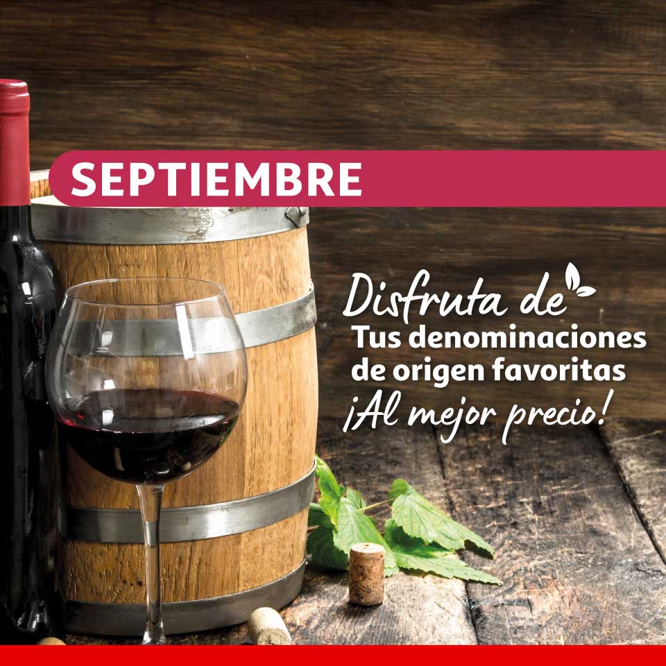 Nuestra selección -Vinos (Disfruta de tus denominaciones de origen favoritas) 