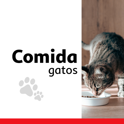 Comida para gatos