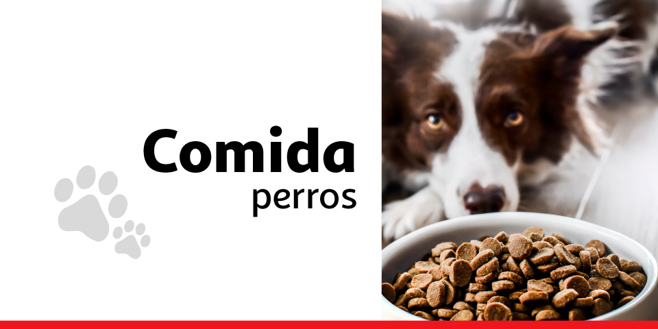 Comida perros