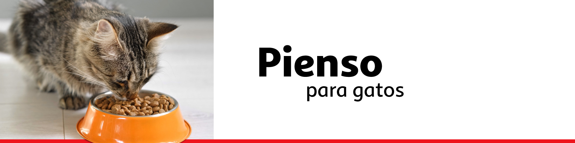 Pienso para gatos