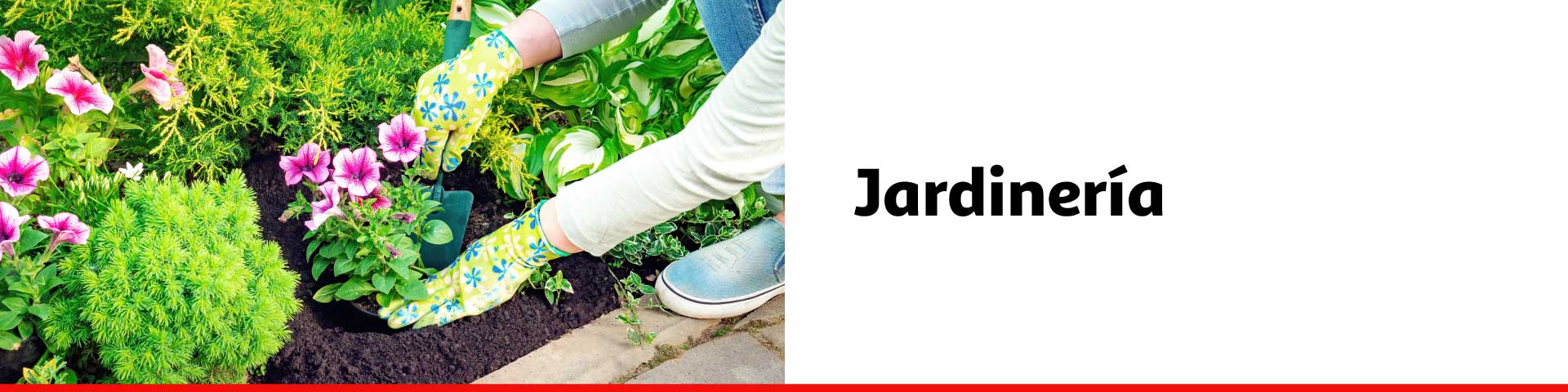 Jardinería