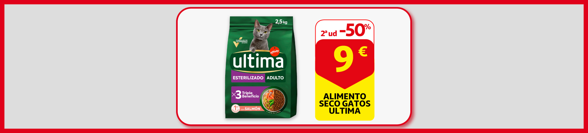 Mascotas