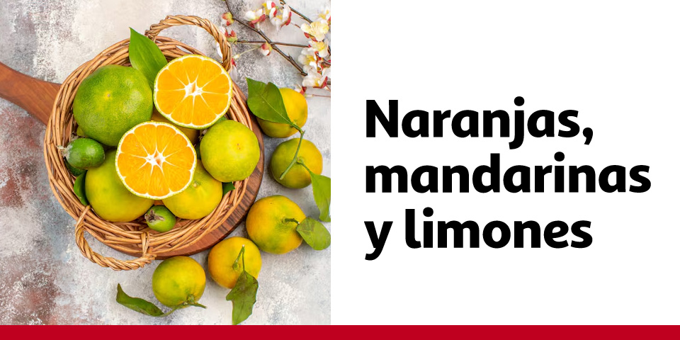 Naranjas, mandarinas y limones