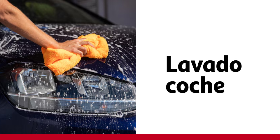Lavado coche