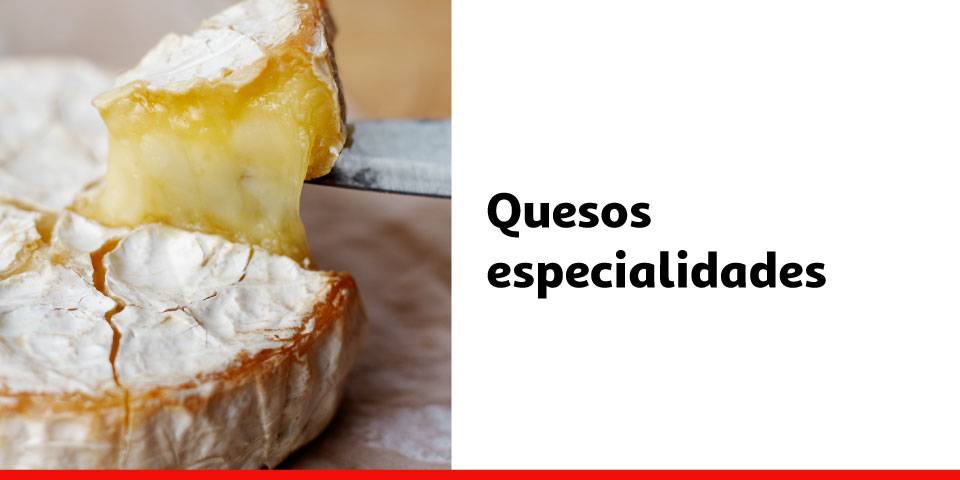 Quesos especialidades