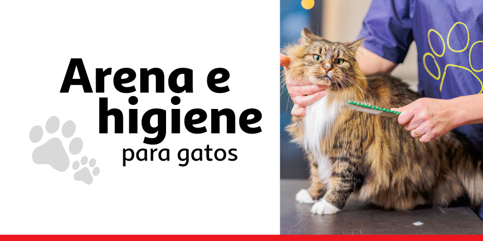 Higiene gato