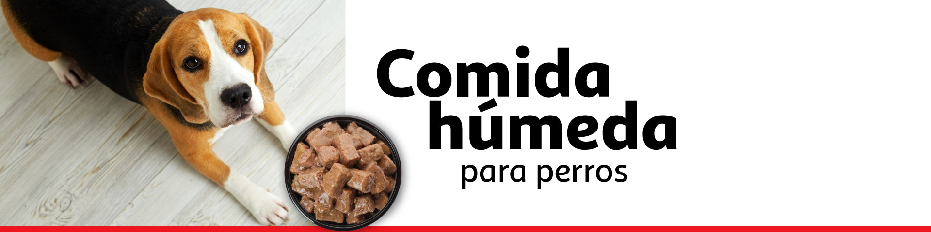 Comida húmeda para perros