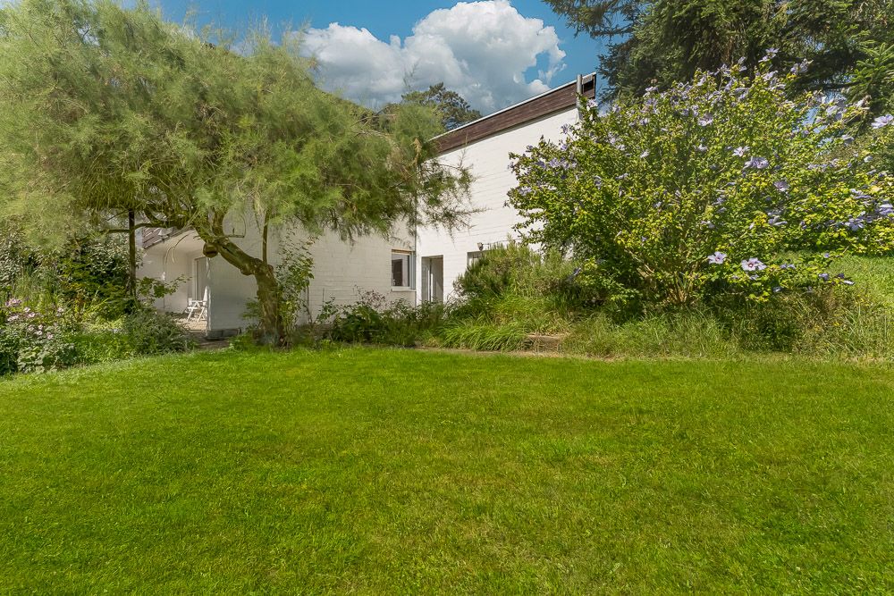Grüner Garten mit Rasen, Bäumen, Sträuchern und einem weißen Haus im Hintergrund.