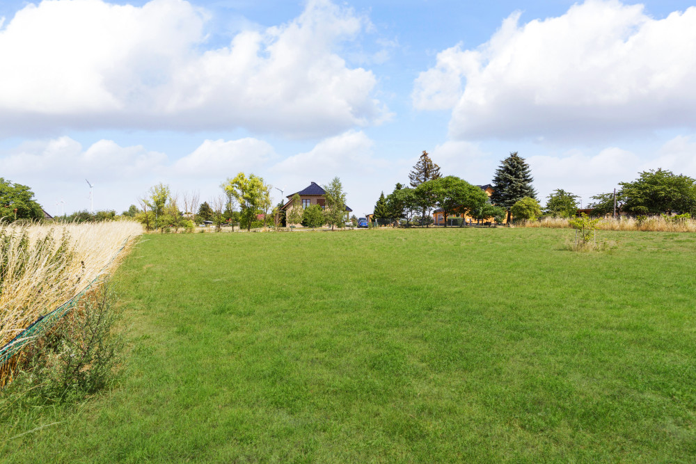 Grünes Grundstück mit Bäumen und Haus im Hintergrund unter blauem Himmel mit Wolken.