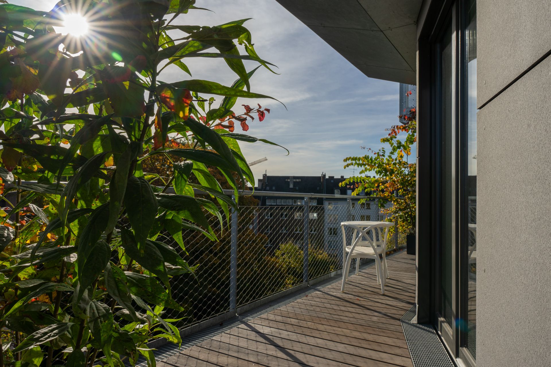 Sonniger Balkon mit Pflanzen, einem weißen Stuhl und Blick auf benachbarte Häuser.