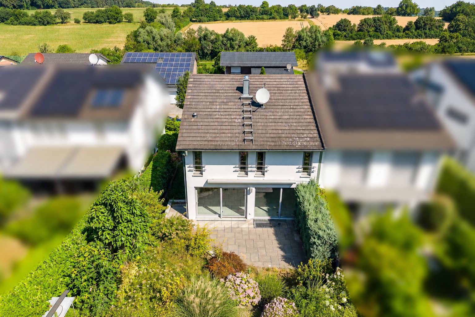 Modernes Einfamilienhaus mit Garten und Terrasse, umgeben von Pflanzen und Nachbarhäusern.