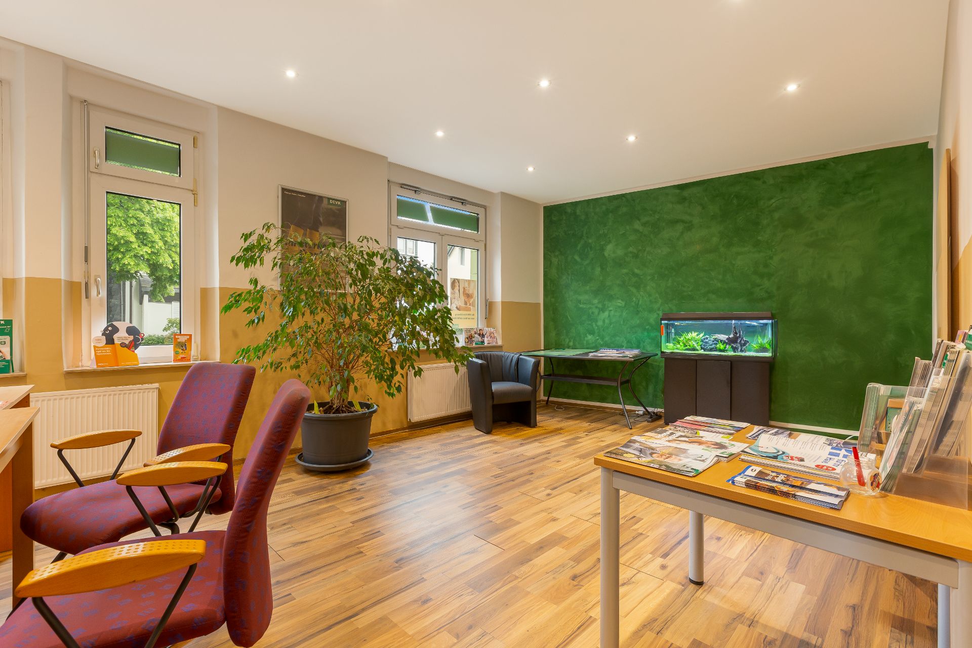Heller Raum mit Holzboden, grüner Wand, Schreibtisch, Wartebereich, großer Pflanze und Aquarium.