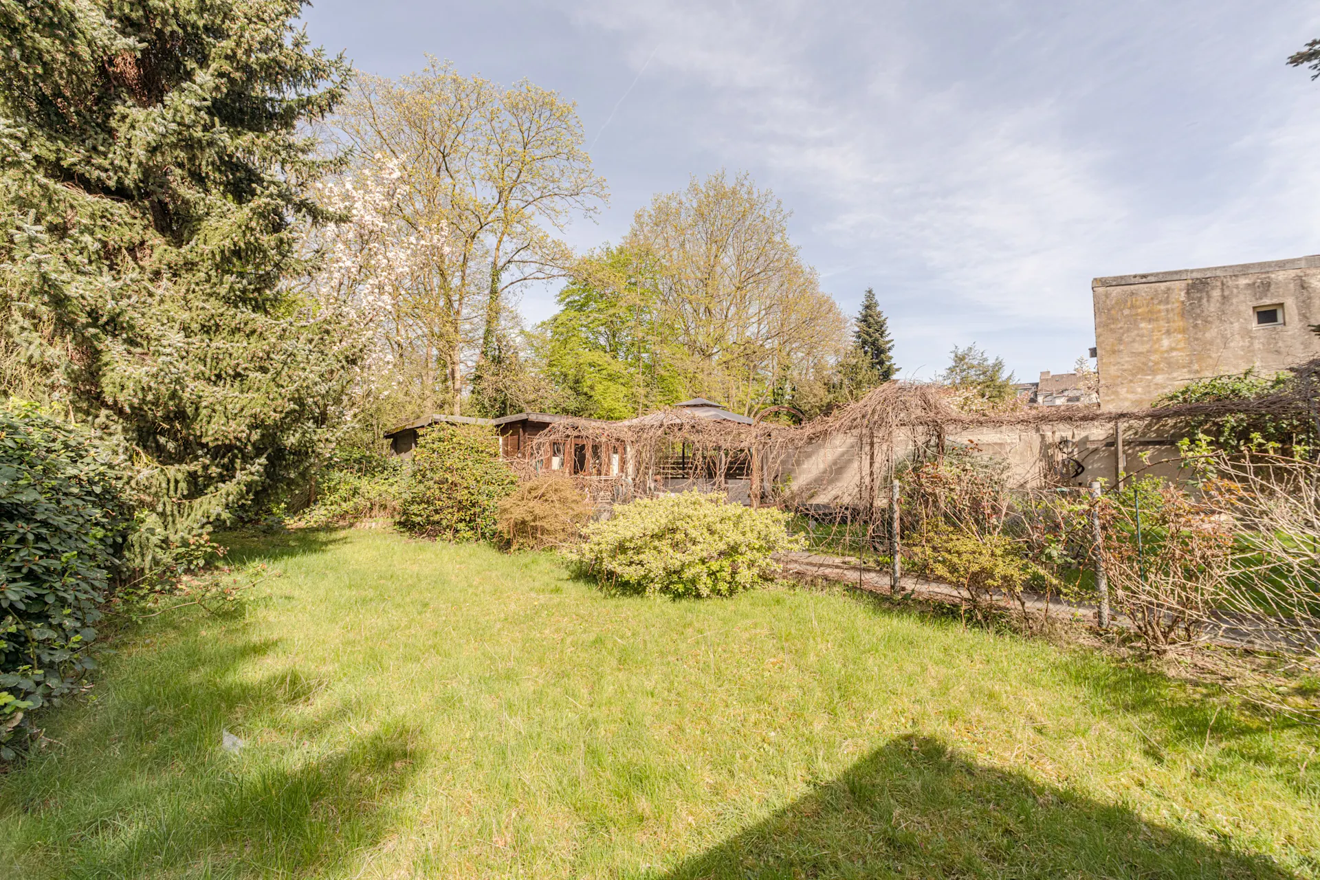 Grüner Garten mit Sträuchern, Bäumen und einem kleinen Holzschuppen im Hintergrund.