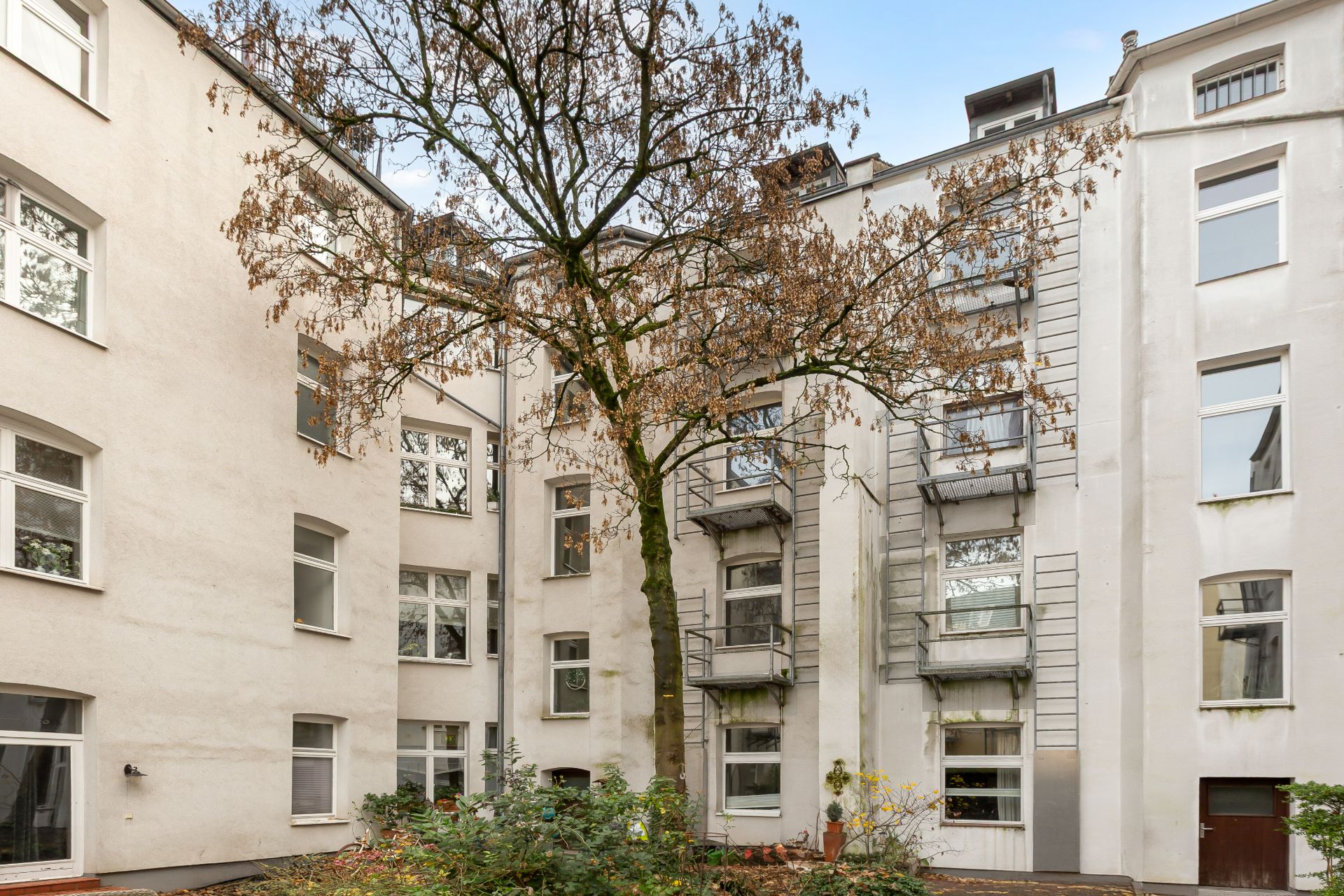 Innenhof eines Wohnhauses mit Baum und mehreren Fenstern, sichtbarem Gartenbereich.
