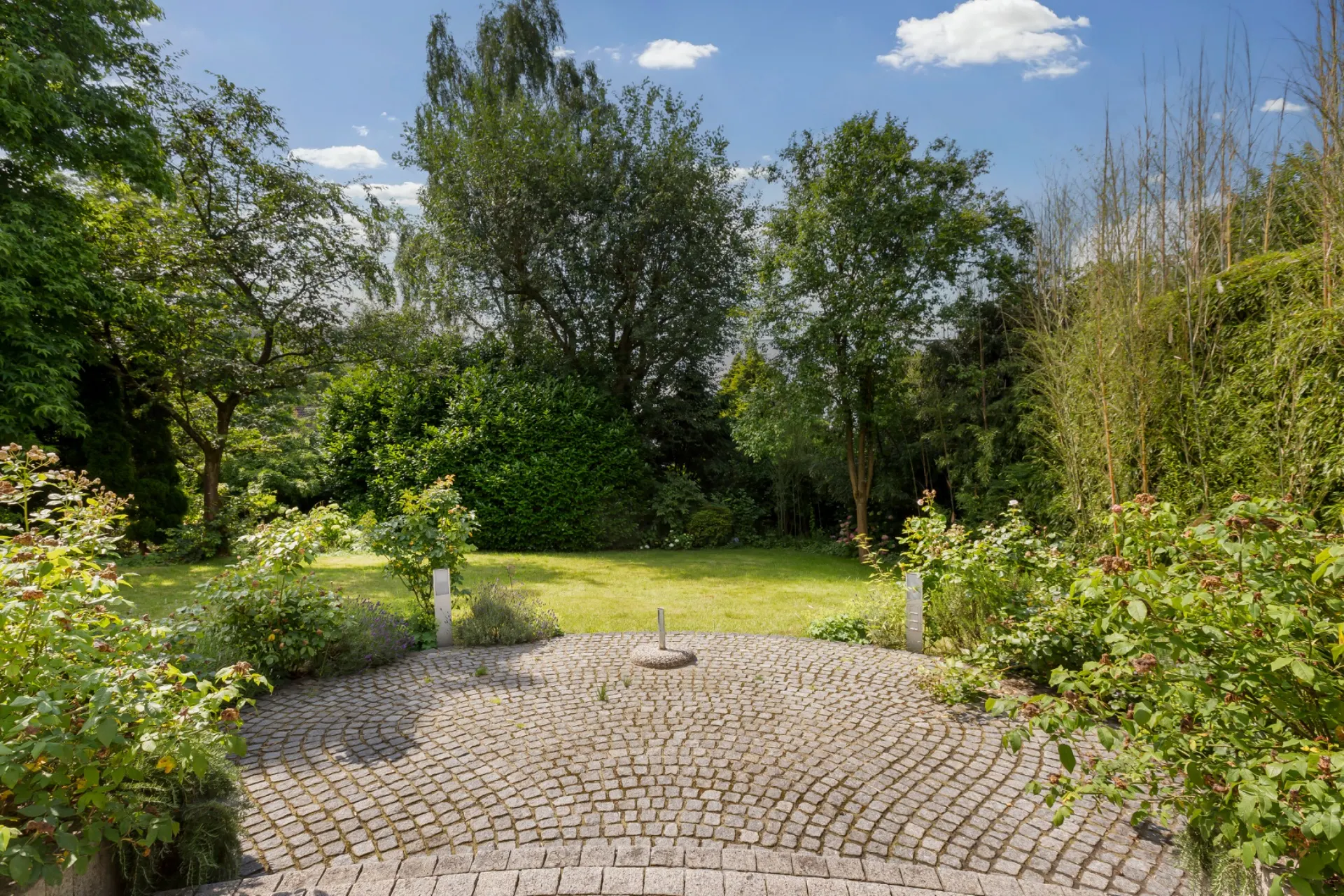 Gepflasterte Terrasse mit Pflanzen, dahinter Rasenfläche und Bäume bei sonnigem Wetter.