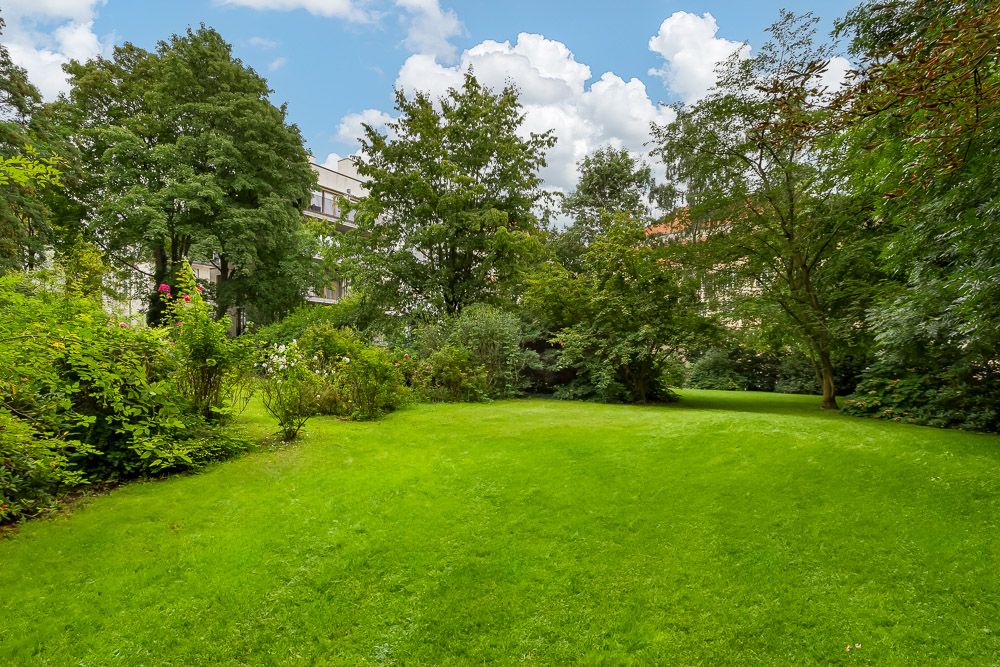 Grüner Garten mit Rasenfläche, Bäumen und Sträuchern, umgeben von Gebäuden.
