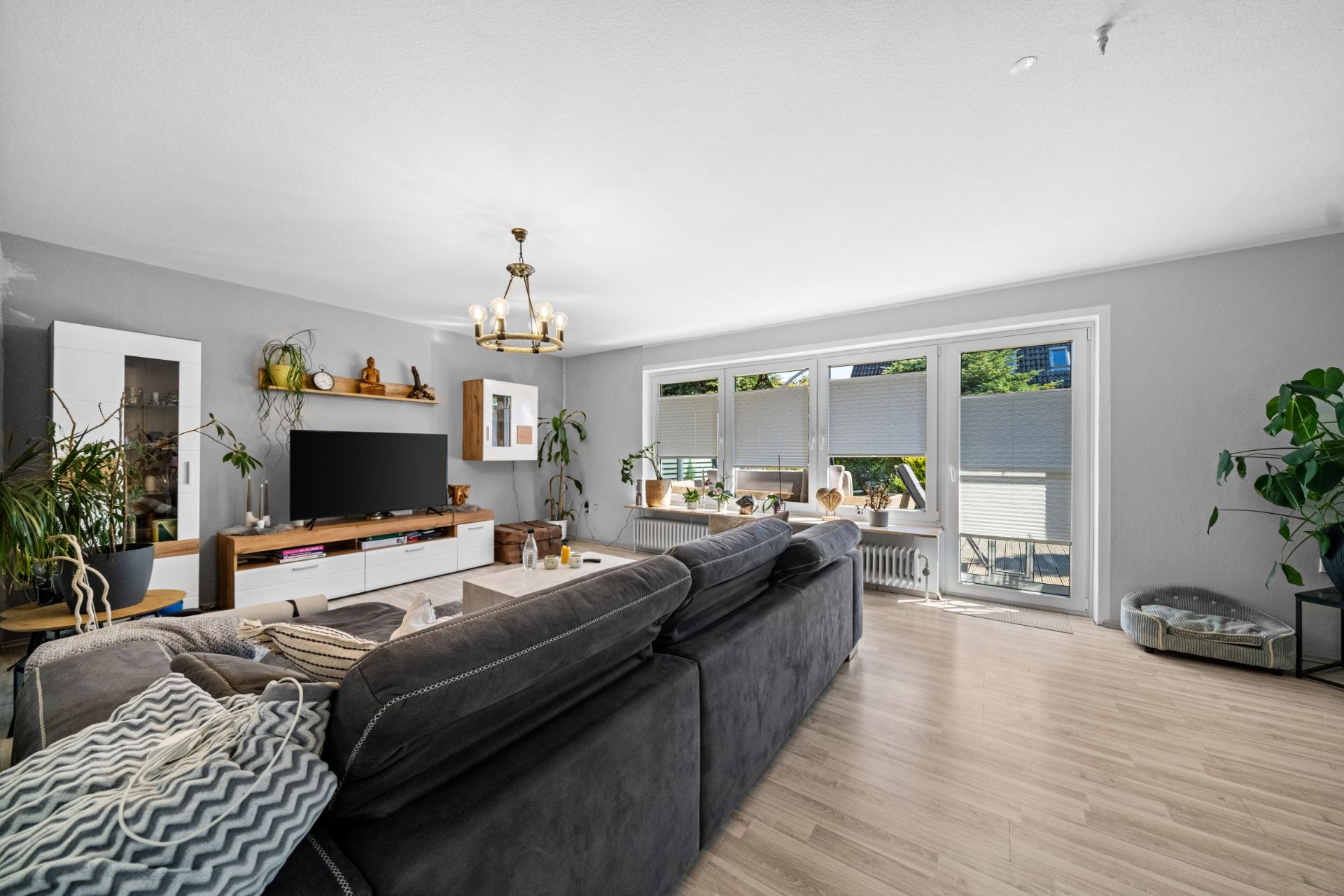 Helles Wohnzimmer mit grauem Sofa, Fernseher, Pflanzen und großen Fenstern.