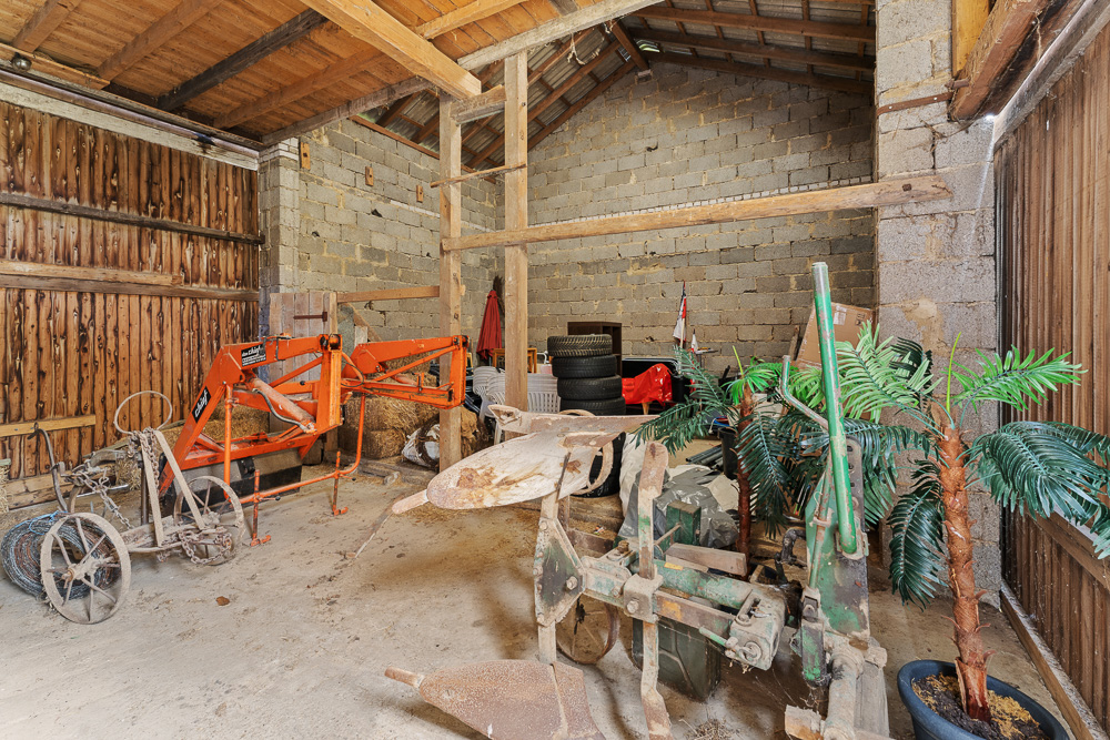 Innenansicht einer Scheune mit landwirtschaftlichen Geräten und Palmen in Töpfen.