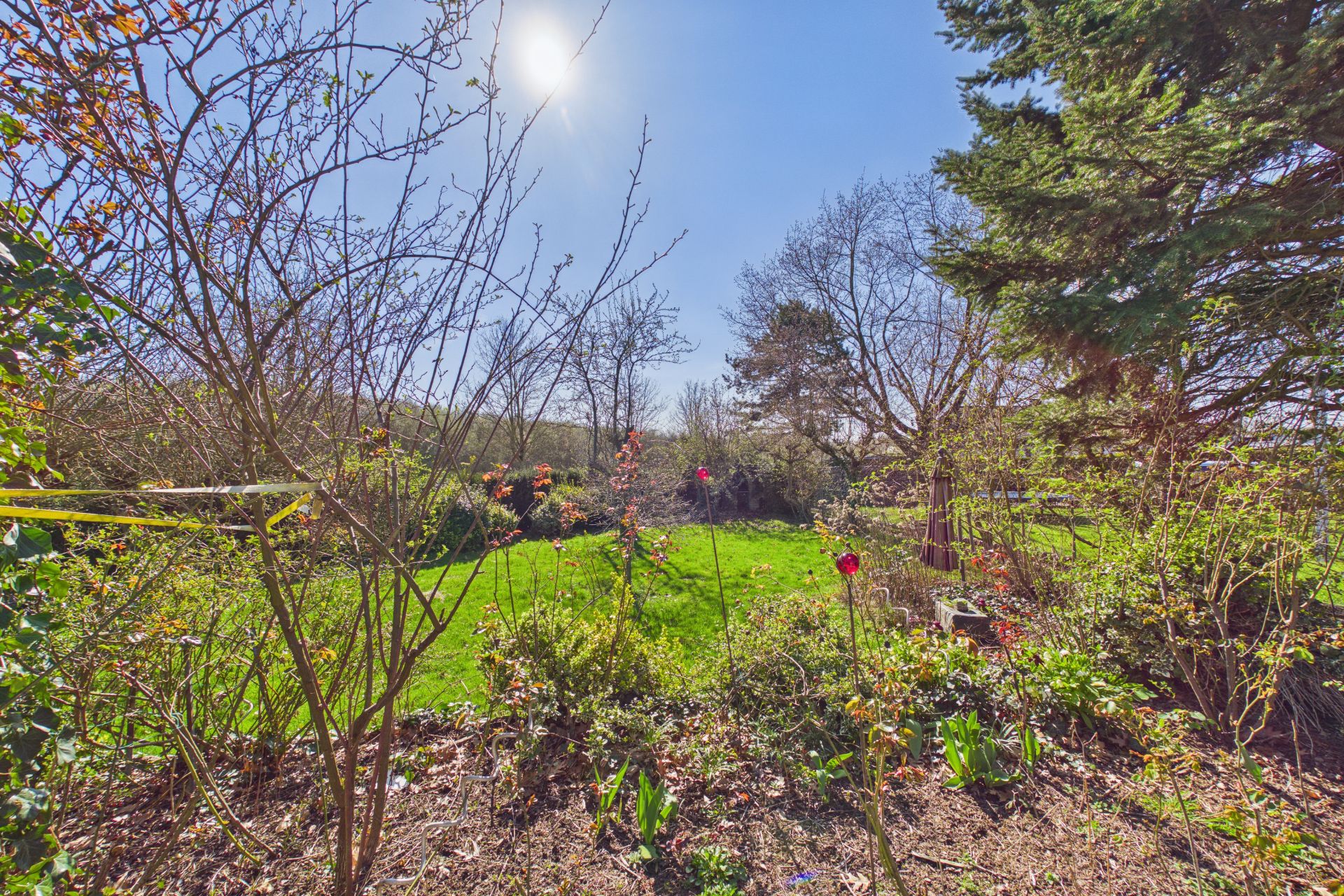 Sonniger Garten mit Rasen, Sträuchern und Bäumen an einem klaren Tag.
