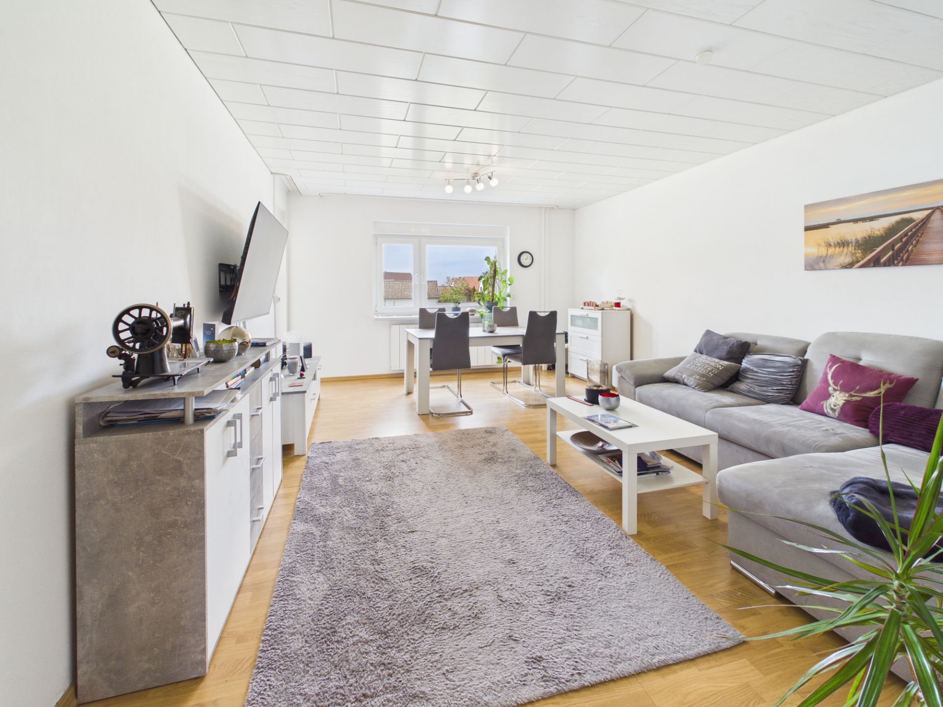 Modernes Wohnzimmer mit grauem Sofa, Esstisch, Fernseher und großem Teppich auf Holzboden.