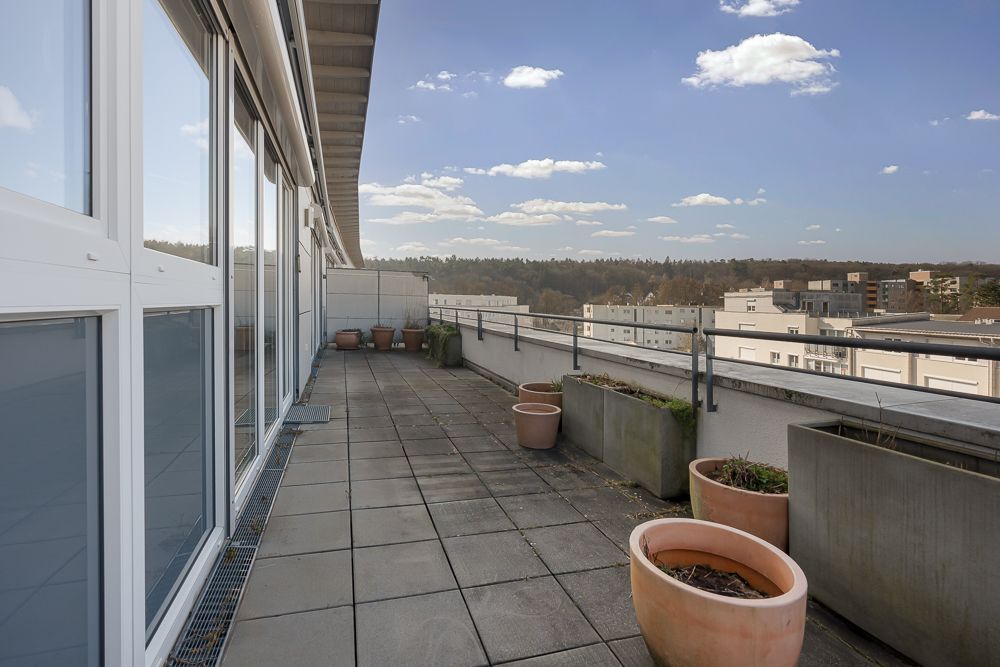 Große Dachterrasse mit Pflanzkübeln und weitem Blick auf Bäume und Gebäude.